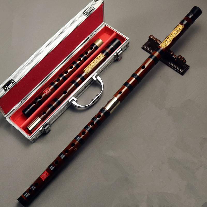 Professional Playing Bitter Ba - Musical Instrument Ending In A ulasan dan harga