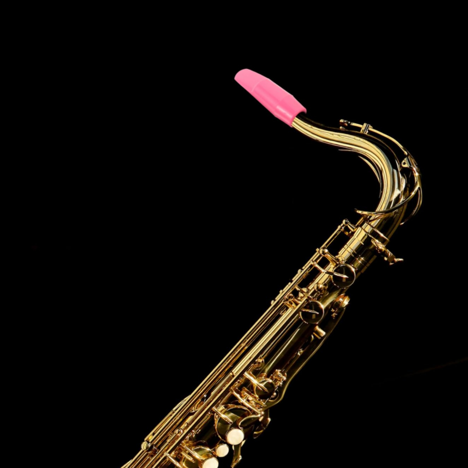 Alto Sax Mouthpiece Waterproof - Musical Instrument Long ulasan dan harga