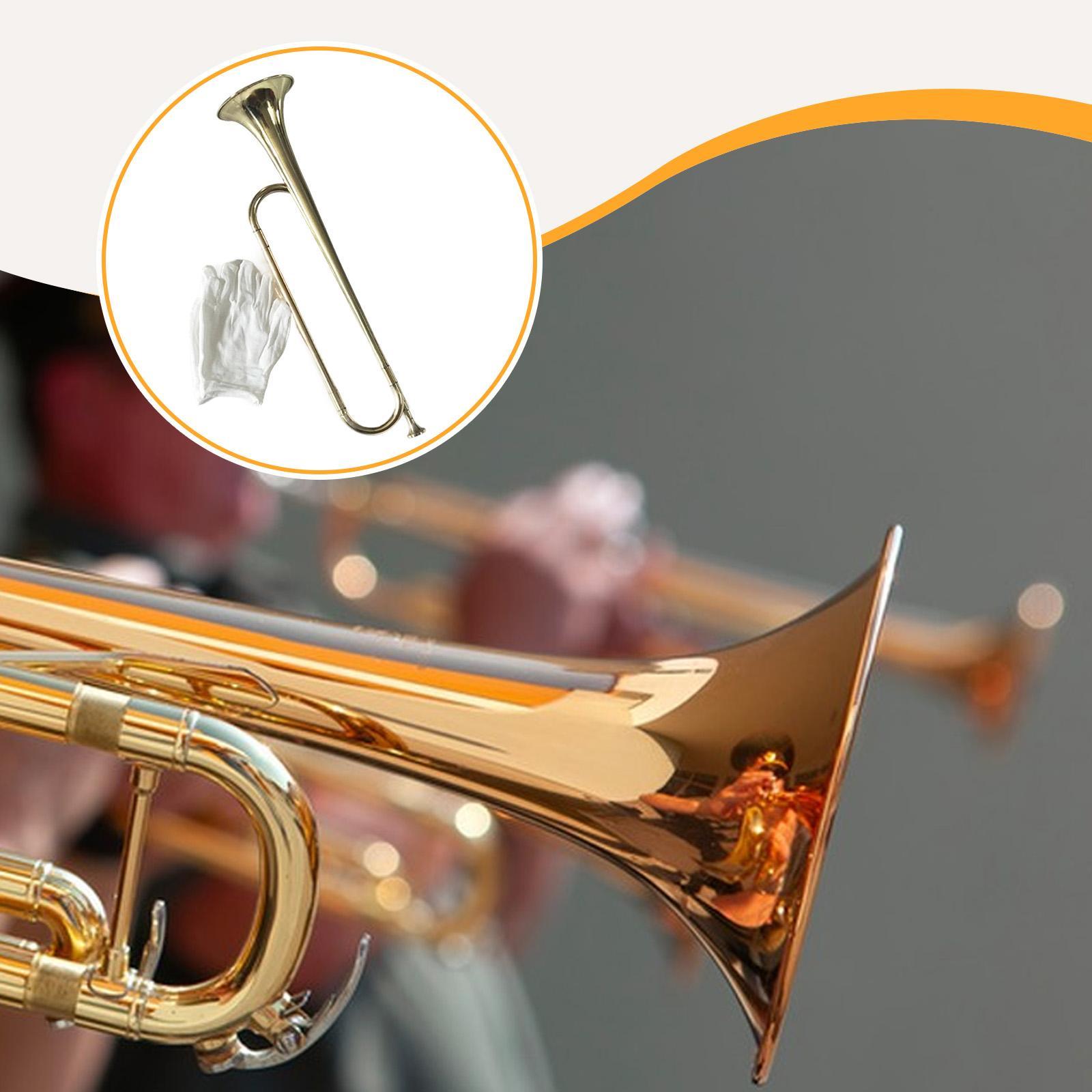 Bugle Musical Instrument Profe - Musical Instrument Bugle ulasan dan harga